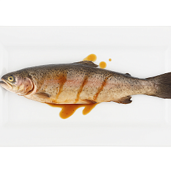 Mfood.kz Форель в соусе терияки, 220гр Mfood.kz Форель в соусе терияки, 220гр