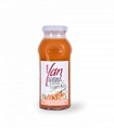 YAN нектар облепиха 0.25 л
