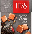 Tess Черный чай Caramel Charm 20 пирамидок