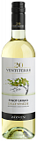 ZONIN Ventiterre Pinot Grigio Delle Venezie DOC Вино белое сухое 12% 750мл