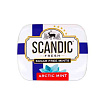 Scandic Original Arctic MInt