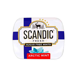 Scandic Original Arctic MInt